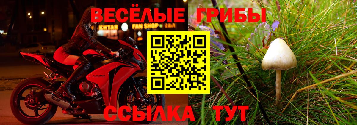Галлюциногенные грибы GOLDEN TEACHER Ишимбай