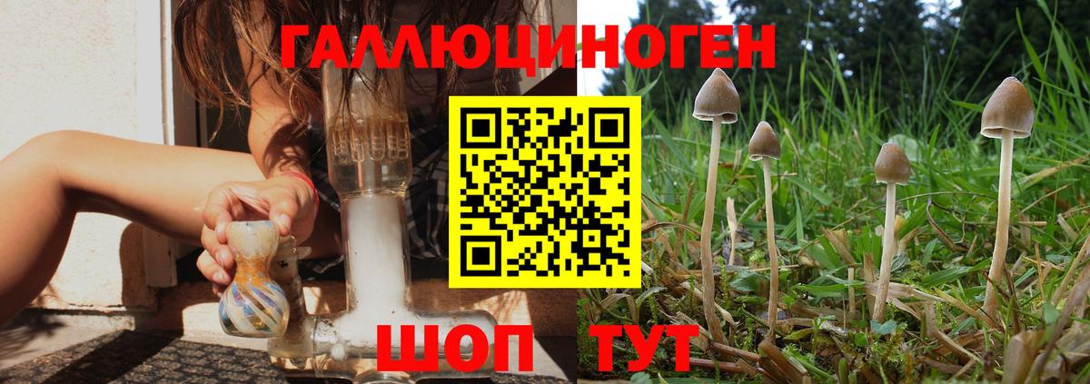 Псилоцибиновые грибы Magic Shrooms  Вход с VPN  Ишимбай 